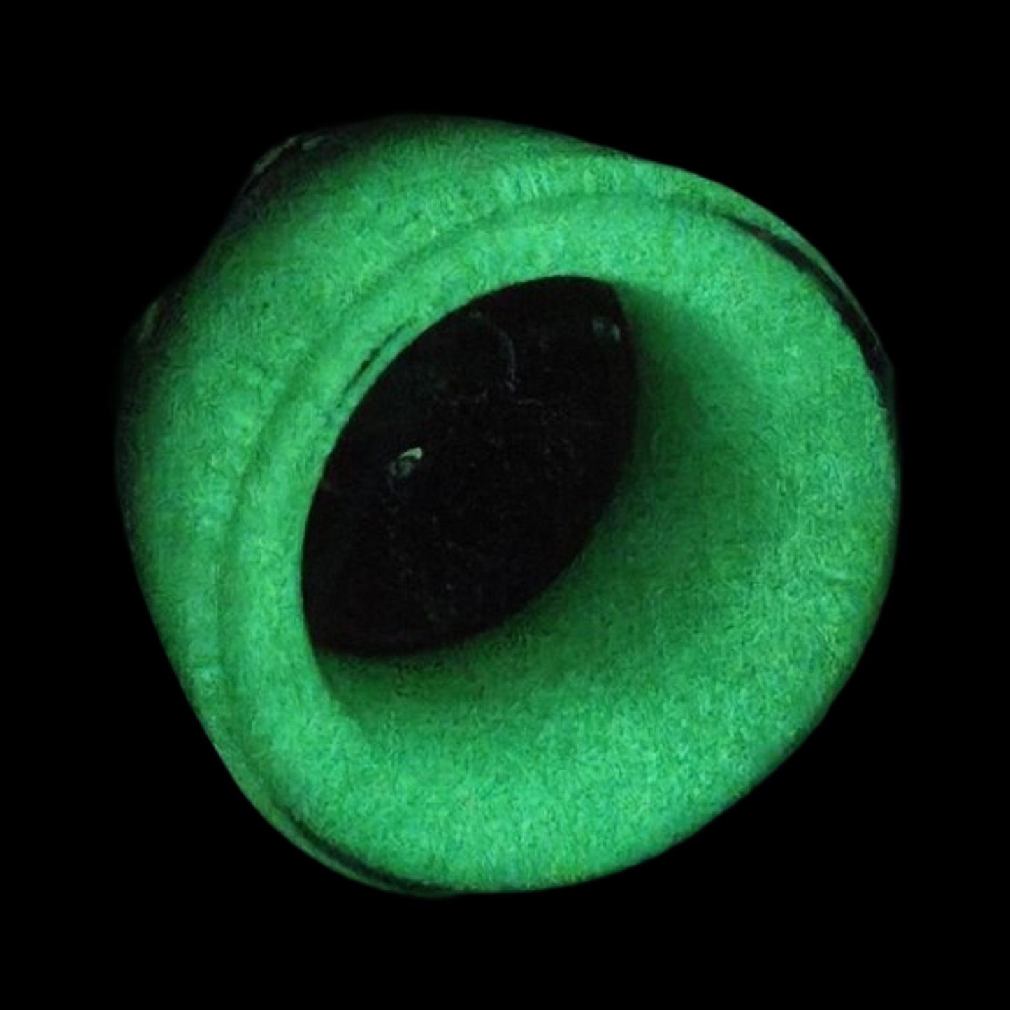 Glow in the dark turtle