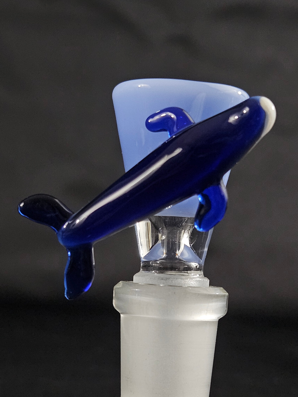 14mm 1 hole Humpback whale