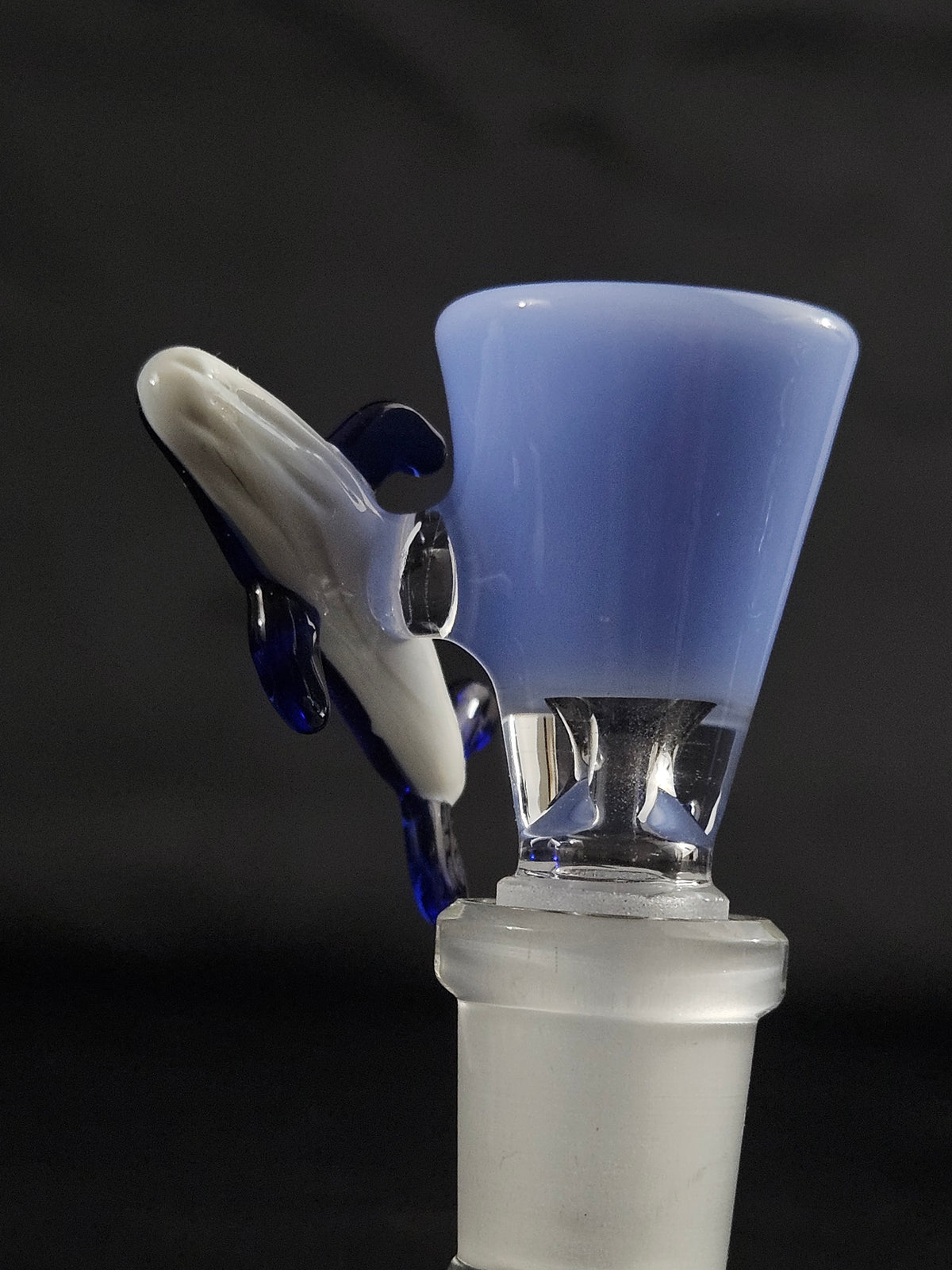 14mm 1 hole Humpback whale