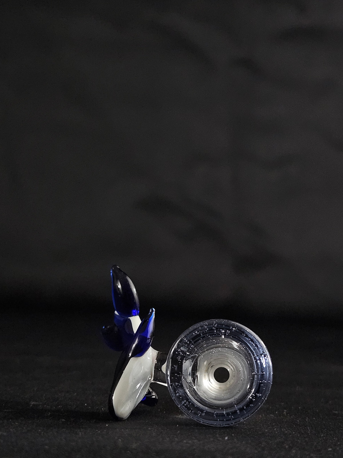 14mm 1 hole Humpback whale