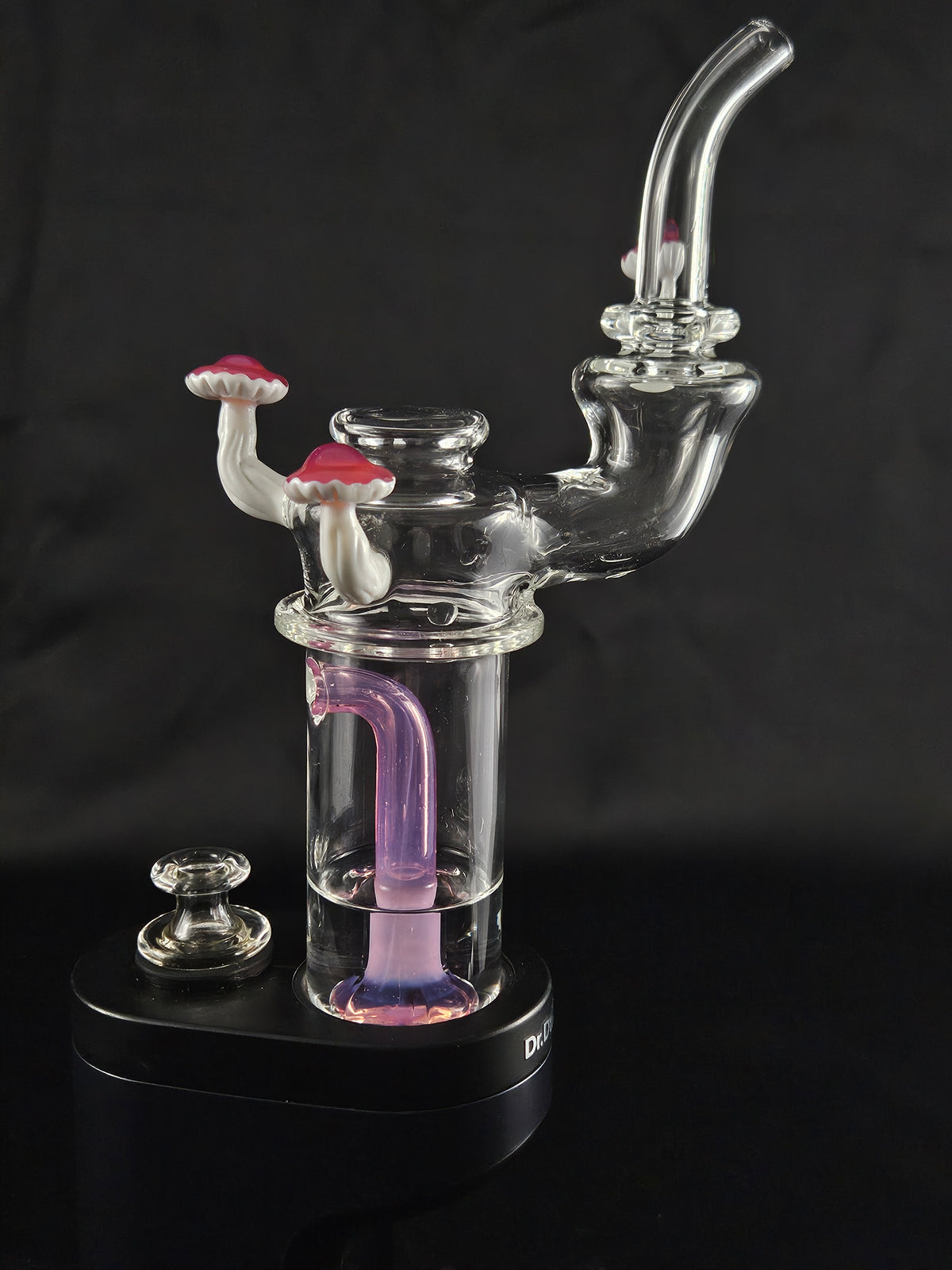 SWITCH 2 Karmaline ushroom sipper