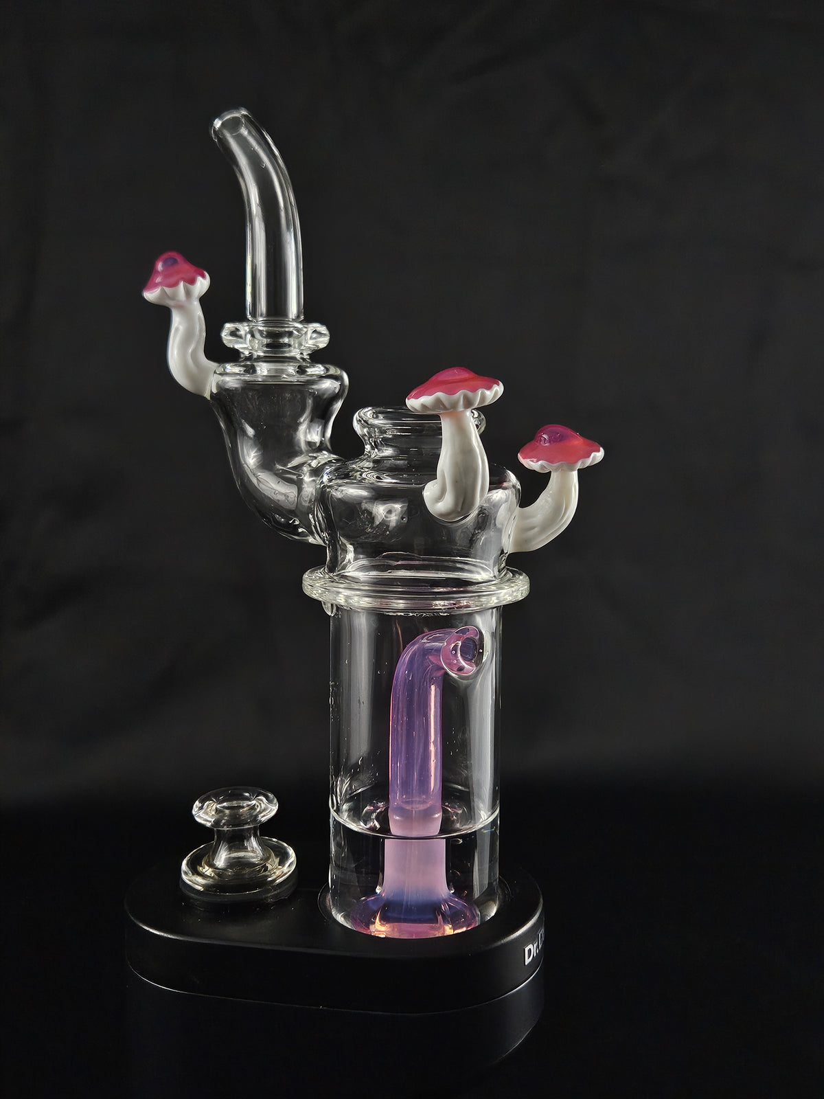 SWITCH 2 Karmaline ushroom sipper