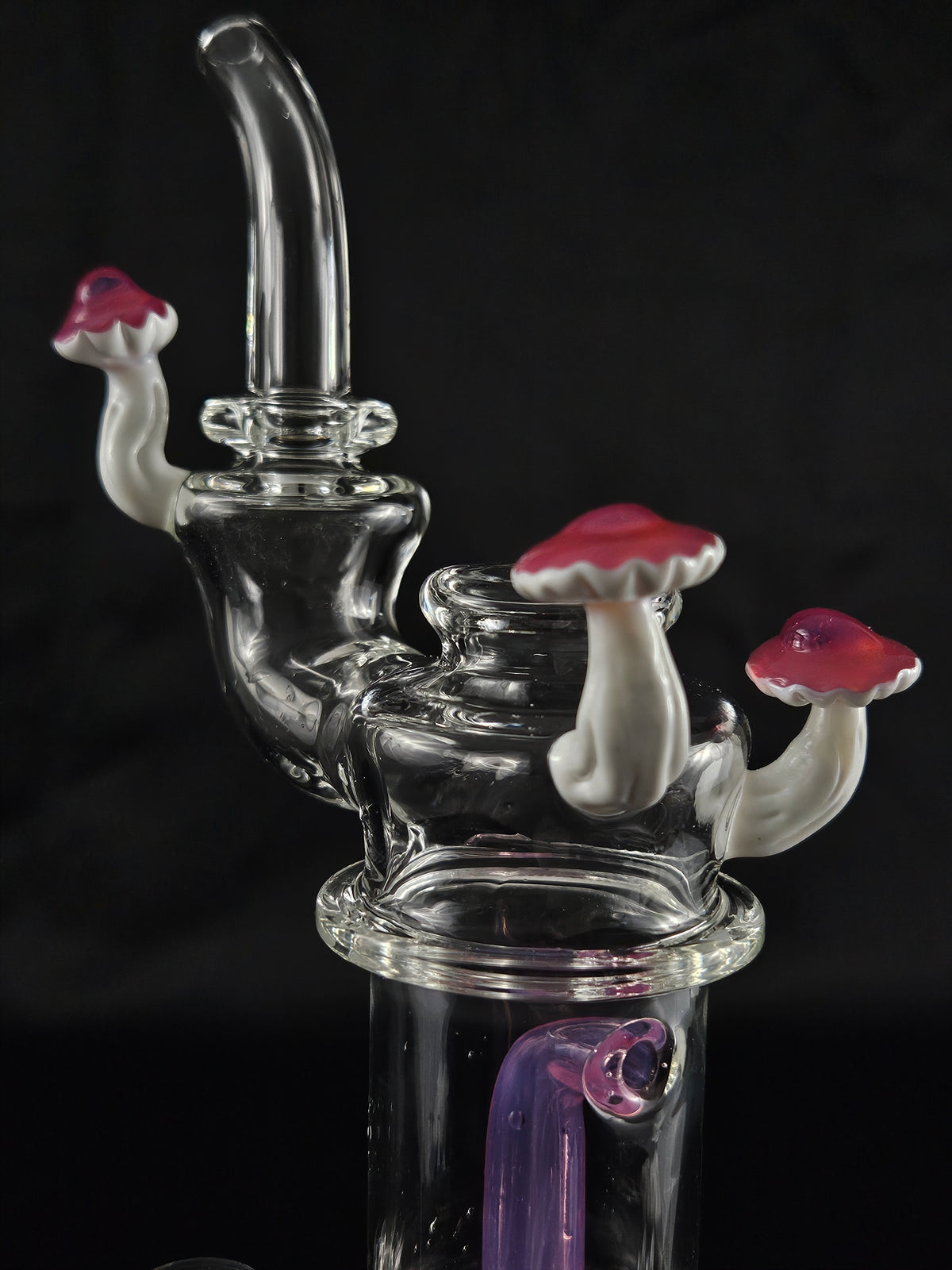 SWITCH 2 Karmaline ushroom sipper