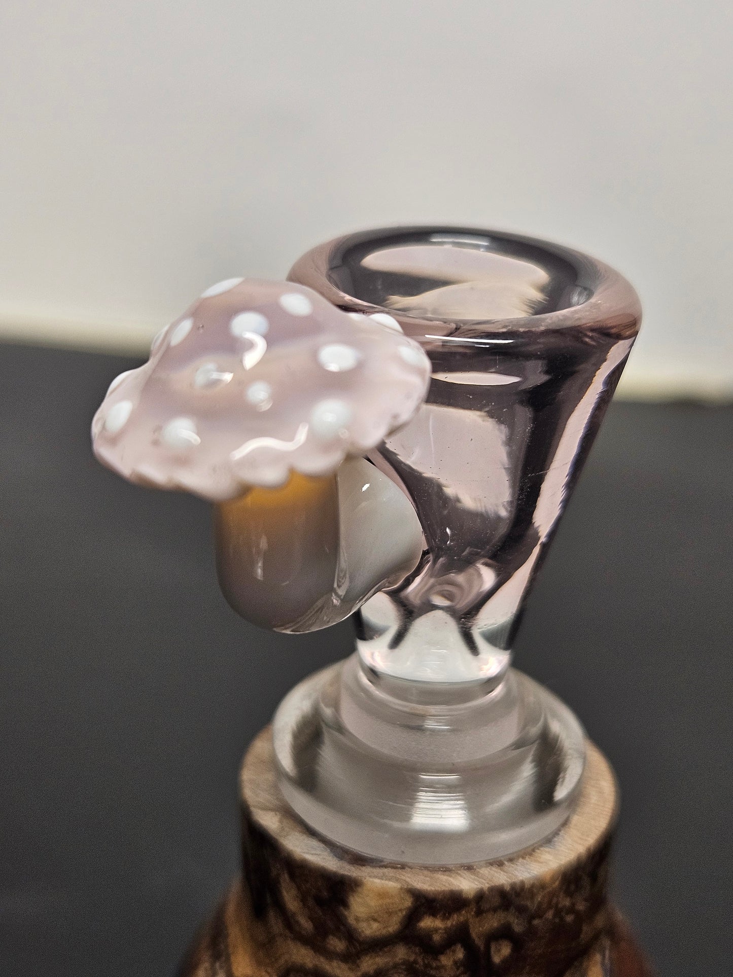 Pink amethyst mushroom