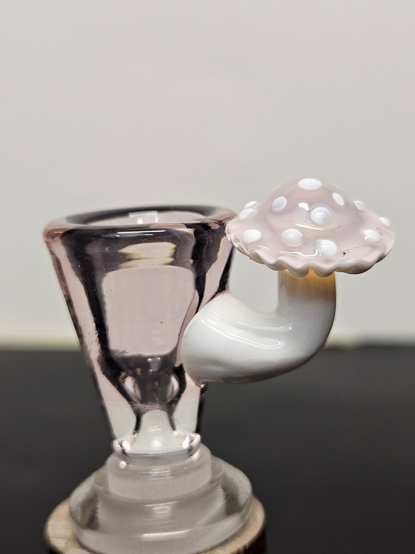 Pink amethyst mushroom